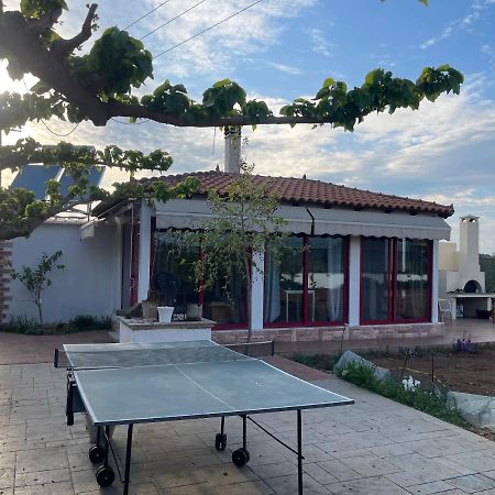 Country Lux Apartment Near Airport Markópoulon المظهر الخارجي الصورة