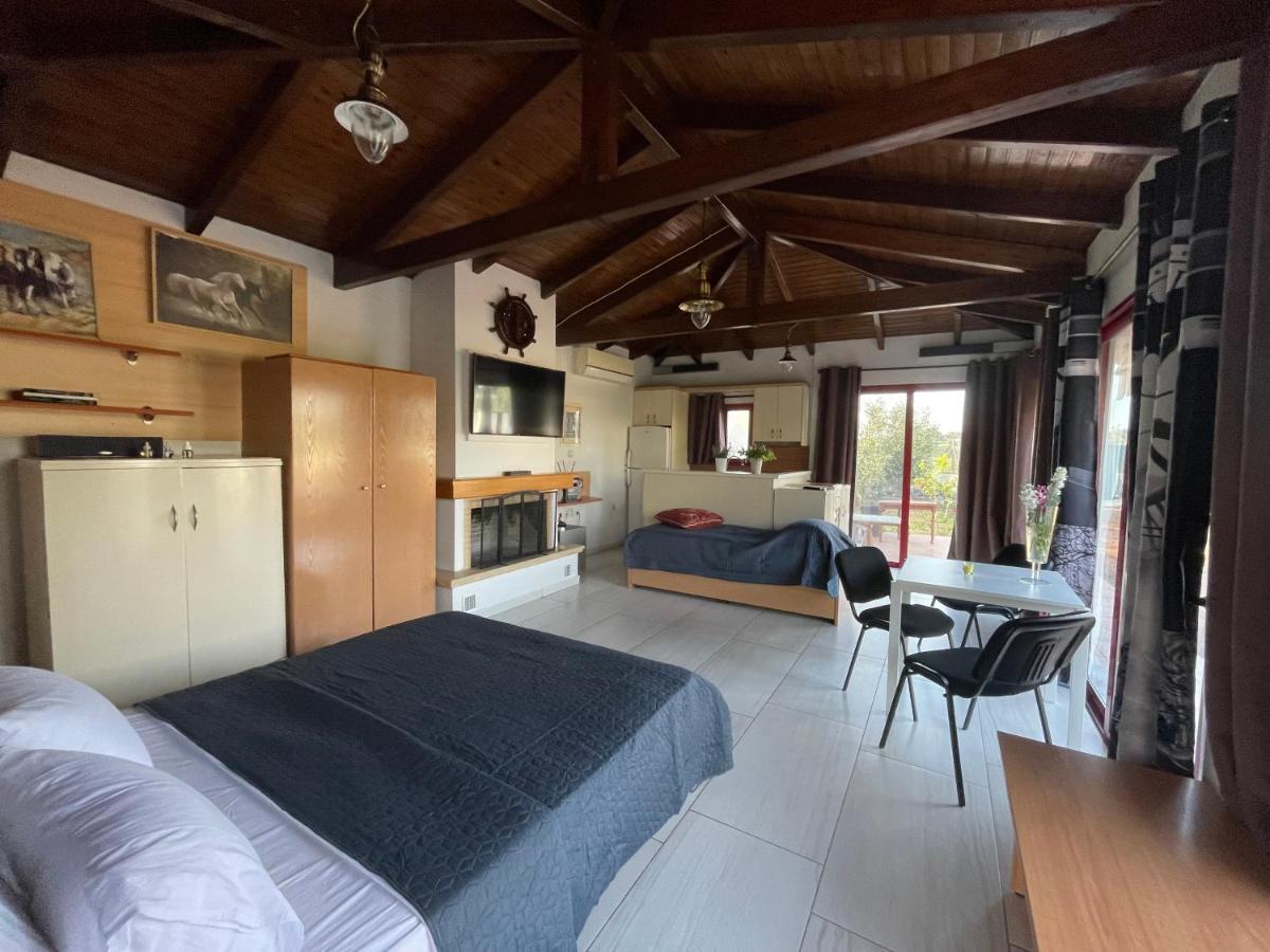 Country Lux Apartment Near Airport Markópoulon المظهر الخارجي الصورة