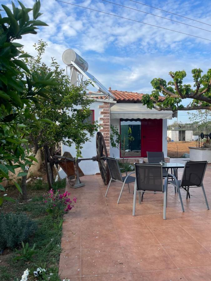 Country Lux Apartment Near Airport Markópoulon المظهر الخارجي الصورة