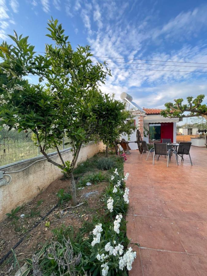Country Lux Apartment Near Airport Markópoulon المظهر الخارجي الصورة